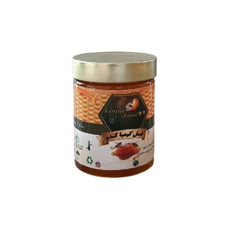 عسل کوهستان کیمیا کندو - 500 گرم 