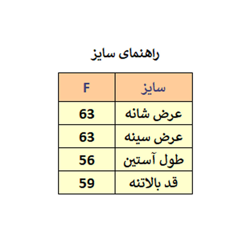 پلیور یقه اسکی زنانه مدل M3940