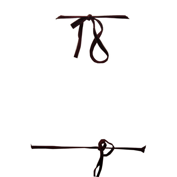 ست شورت و سوتین زنانه مدل Z e r 791