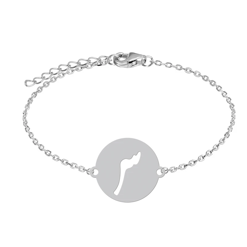 دستبند زنجیری زنانه هایکا مدل حرف س کد z.dh155