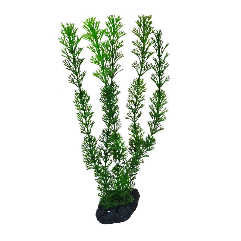 گیاه تزیینی آکواریوم مدل سانترا کد 35