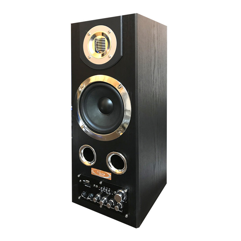 پخش کننده خانگی ونوس مدل PV-SB500