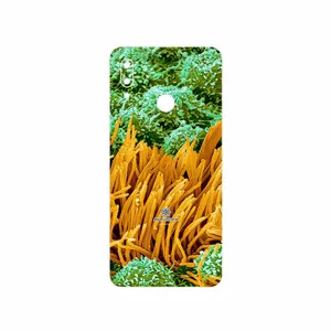 MAHOOT Atom Universe 6 Cover Sticker for Huawei P Smart 2019