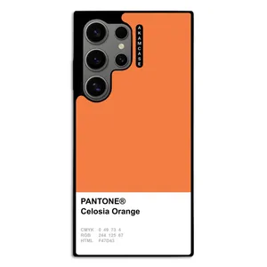 AKAM AMC-WSGS24U-PANTONE-6 Cover For Samsung Galaxy S24 Ultra