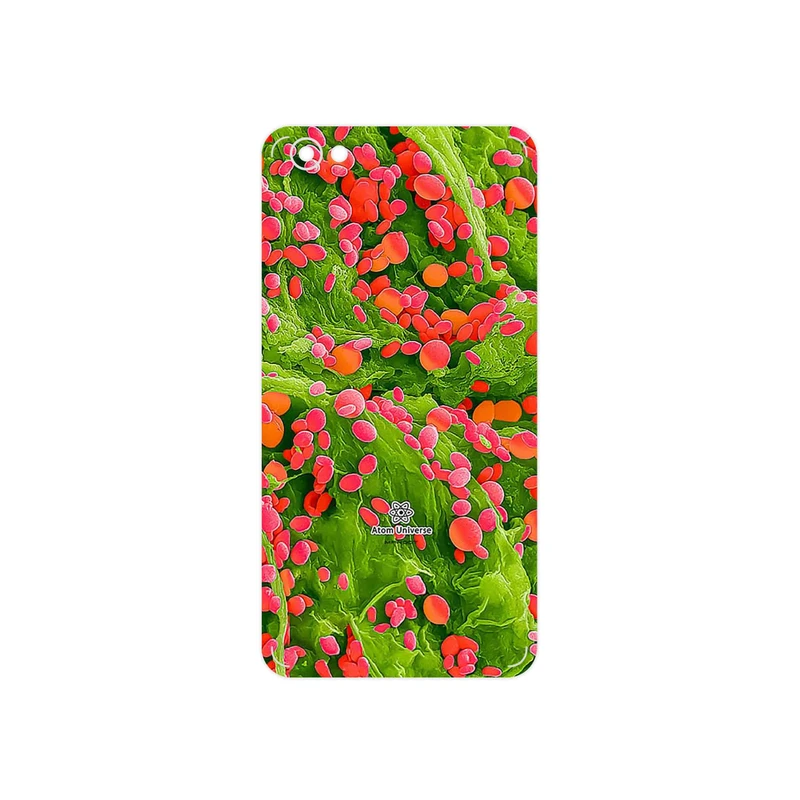 برچسب پوششی ماهوت مدل Atom Universe 3 مناسب برای گوشی موبایل شیائومی Redmi Note 5A