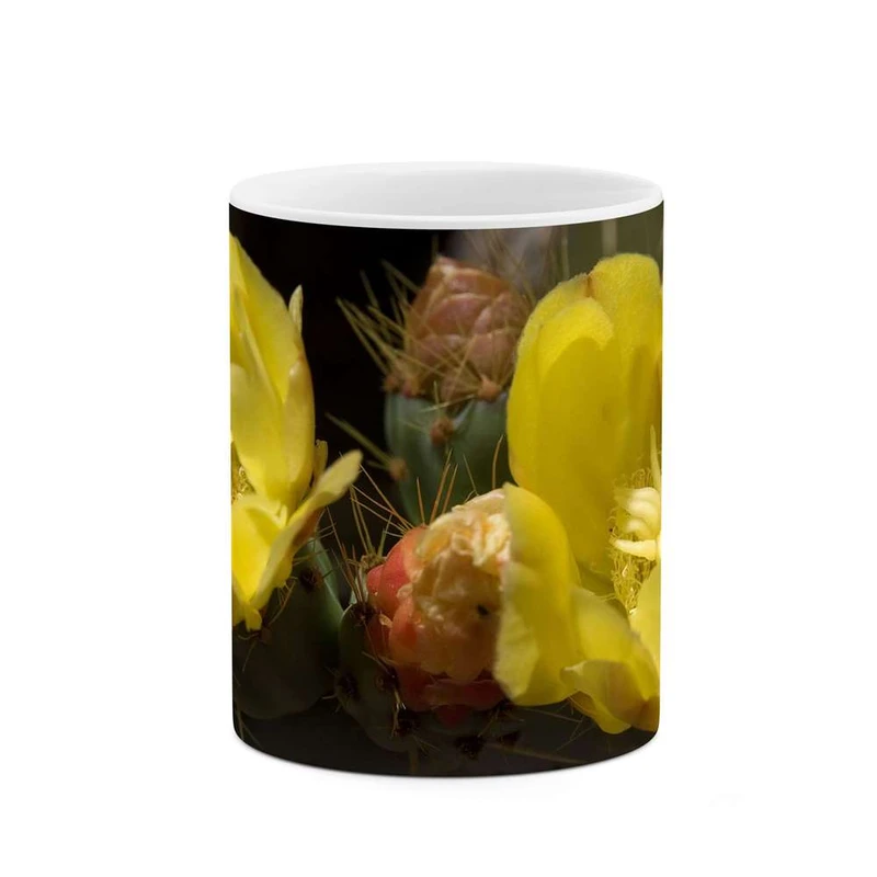 ماگ کاکتی مدل گل کد mgh11328