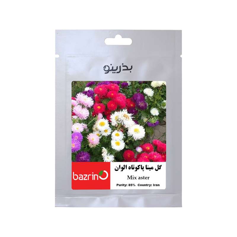 بذر گل مینا پاکوتاه الوان بذرینو کد B-054