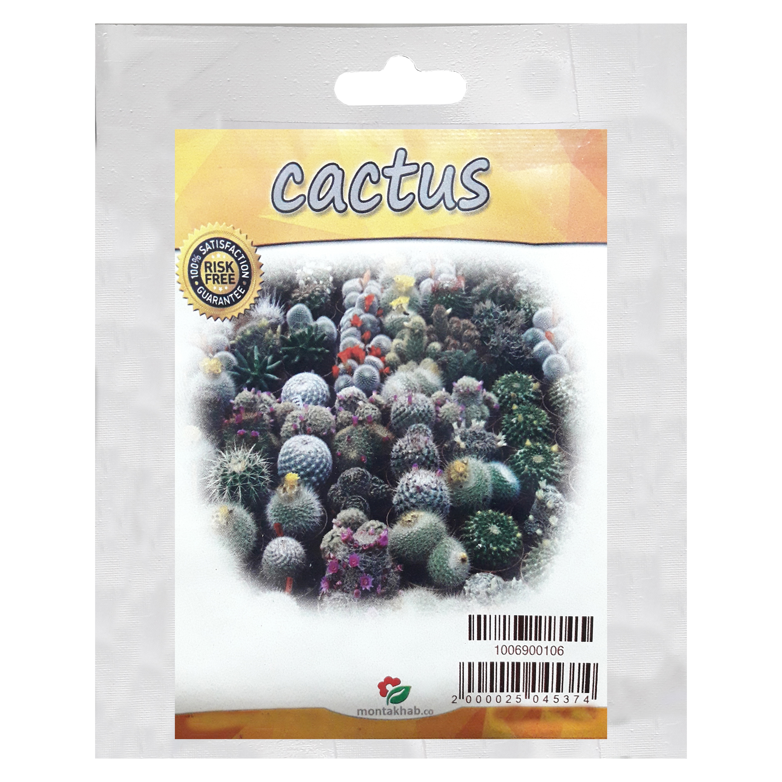 بذر کاکتوس منتخب کد T-119