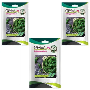 بذر فلفل همدانی تند گلدانی گلبرگ پامچال کد GPF-325 مجموعه 3 عددی