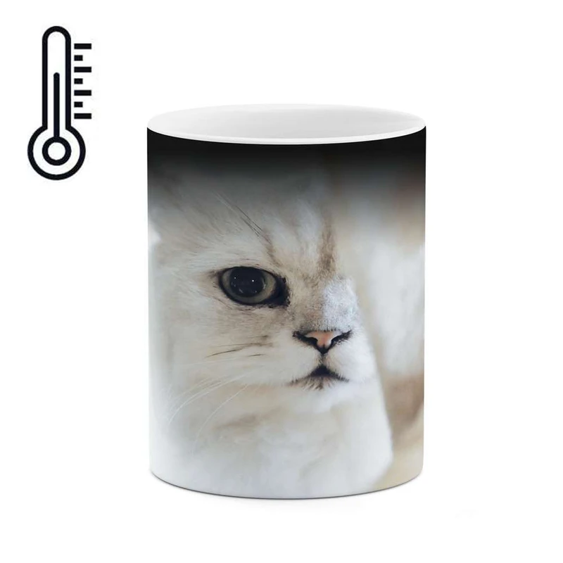 ماگ حرارتی کاکتی مدل گربه کد mgh15843