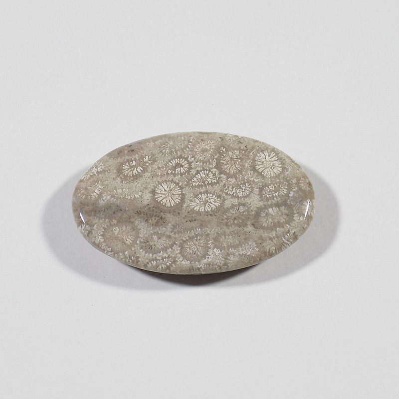 سنگ فسیل مرجان کد TG6523