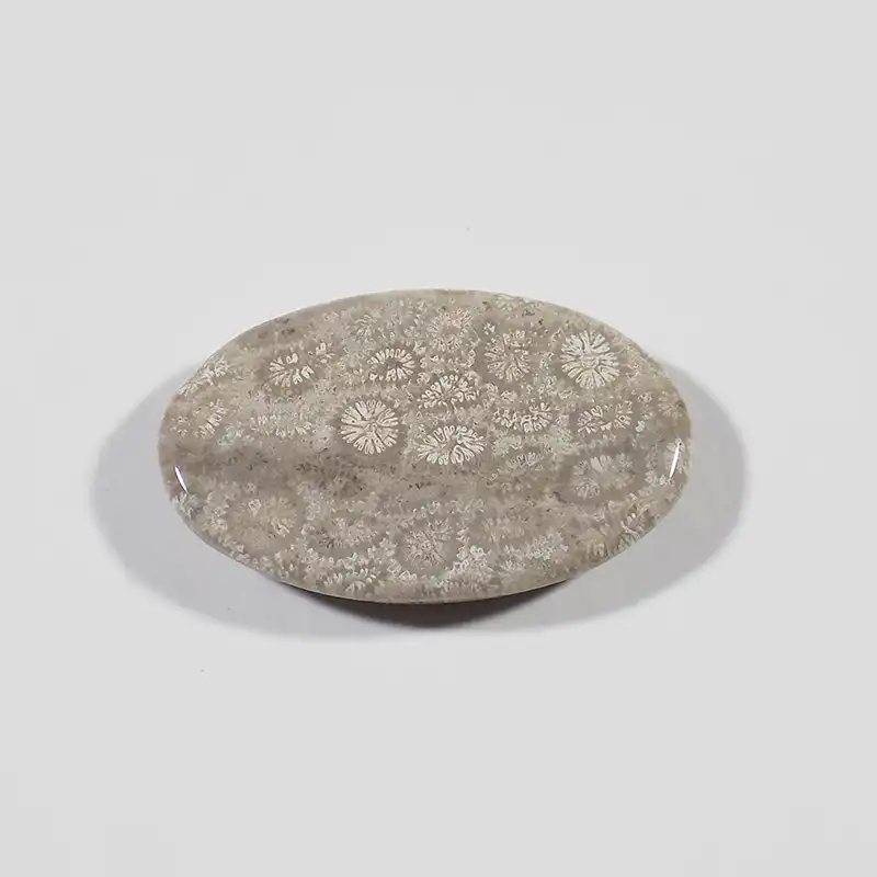 سنگ فسیل مرجان کد TG6523