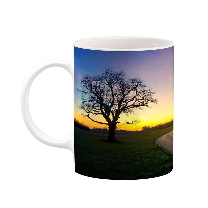 ماگ کاکتی مدل منظره کد mgh13117