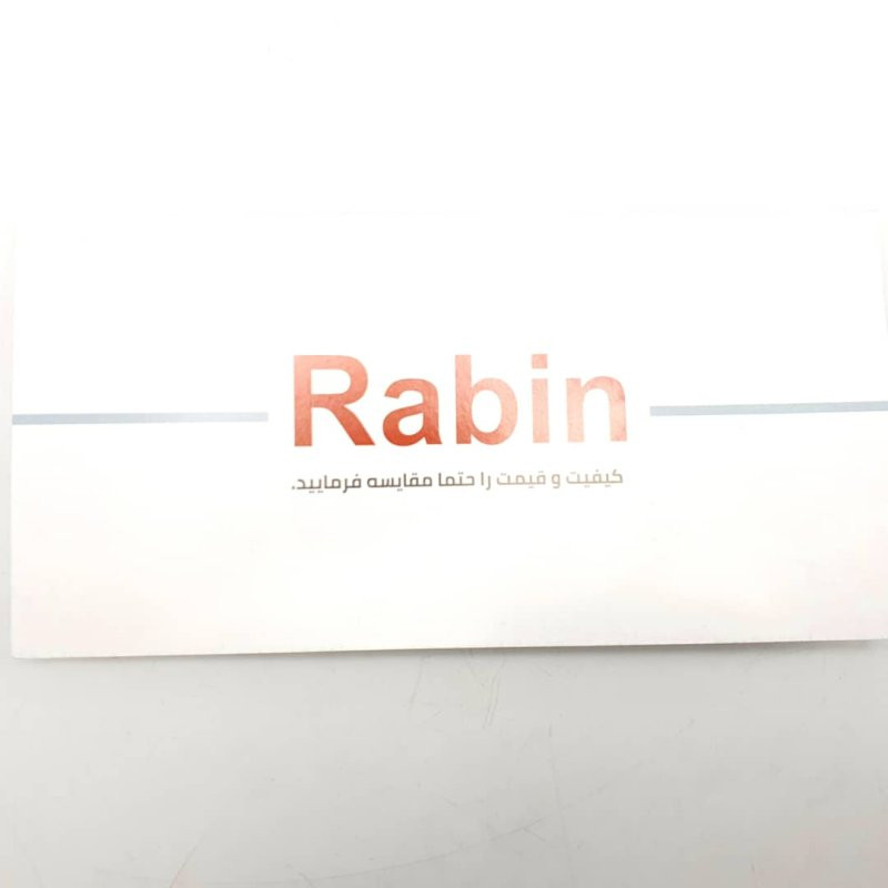 پیستوله رنگ برقی رابین مدل R5030