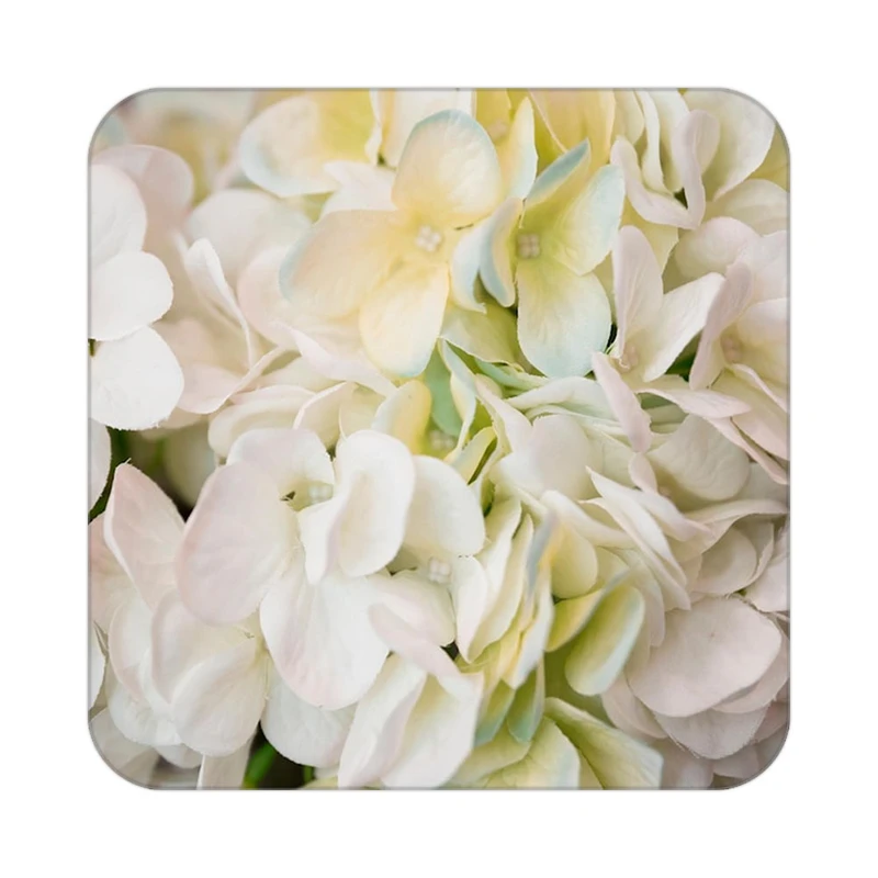 زیر لیوانی کاکتی طرح گل مدل mp16794