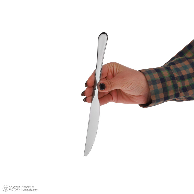 کارد غذاخوری صنایع استیل ایران مدل پارما بسته 6 عددی