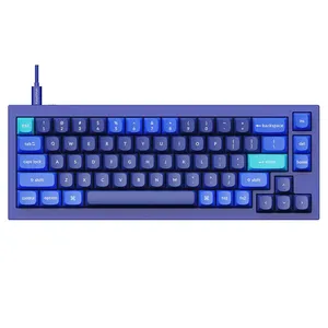 کیبورد کیکورن مدل Q2 red switch Custom Mechanical