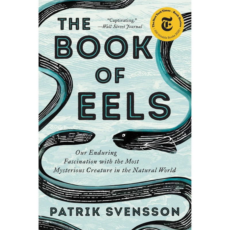 کتاب The Book of Eels اثر Patrik Svensson انتشارات HarperCollins Publishers Inc