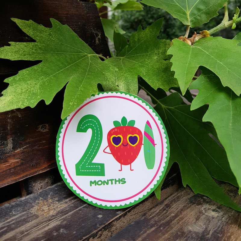 استیکر مدل ماهگرد نوزاد طرح میوه‌های تابستانی مجموعه 14 عددی