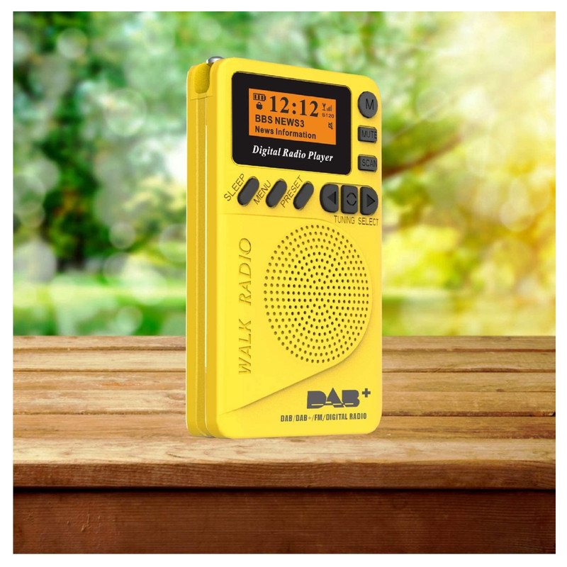 رادیو دیجیتال مدل DAB-P9