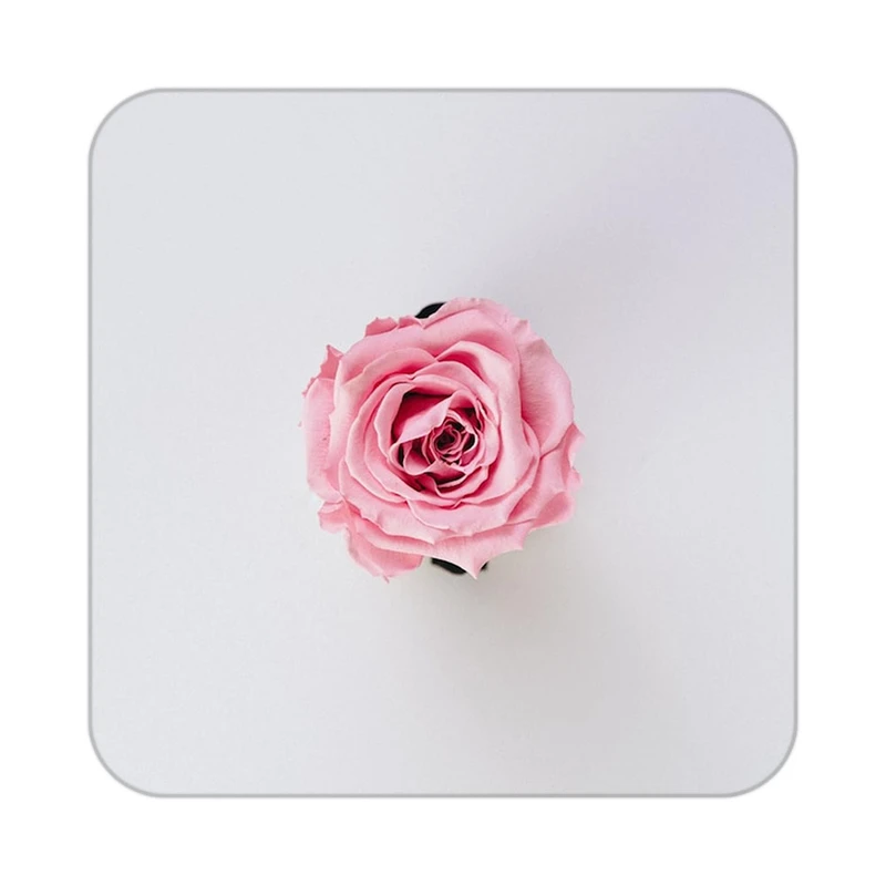 زیر لیوانی کاکتی طرح گل مدل mp16349