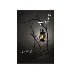 کتاب ماه و مرداب اثر فاطمه عبدی نشر کلید پژوه