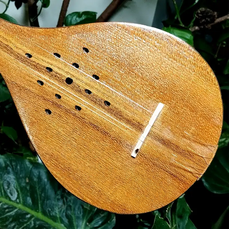 سه تار مدل  ایران ساز کد sia4mostir