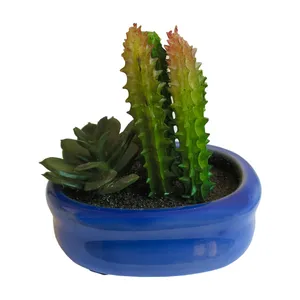 گلدان به همراه کاکتوس مصنوعی مدل Minicactus کد M1