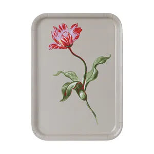 سینی ایکیا مدل DOFTMINNE