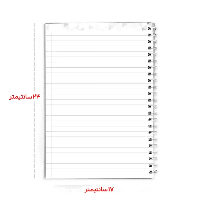 دفتر مشق 100 برگ مدل دختر کفشدوزکی و گربه سیاه کد note-C-41