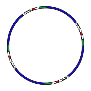 برچسب دور رینگ موتورسیکلت رایسان کد Dm012Bb