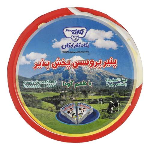 پنیر پیتزا پروسس شده با طعم گودا پگاه - 140 گرم