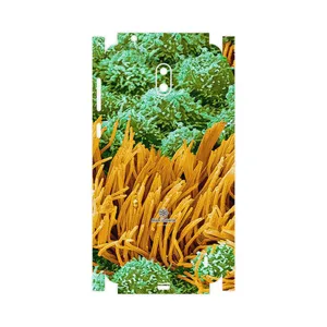 MAHOOT Atom Universe 6-FullSkin Cover Sticker for Nokia 2