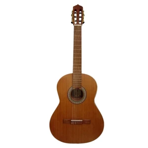 گیتار مدل M5