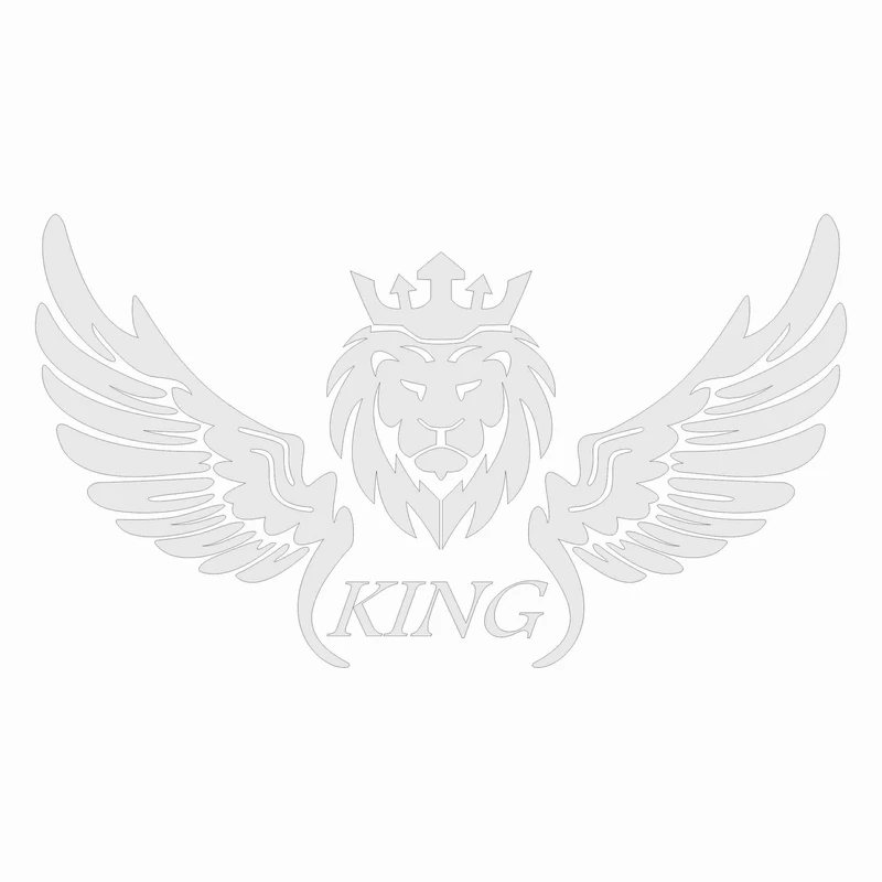 برچسب بدنه خودرو طرح بال کد SF04