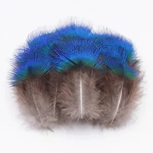 پر دریم کچر مدل peacock بسته ۱۰ عددی