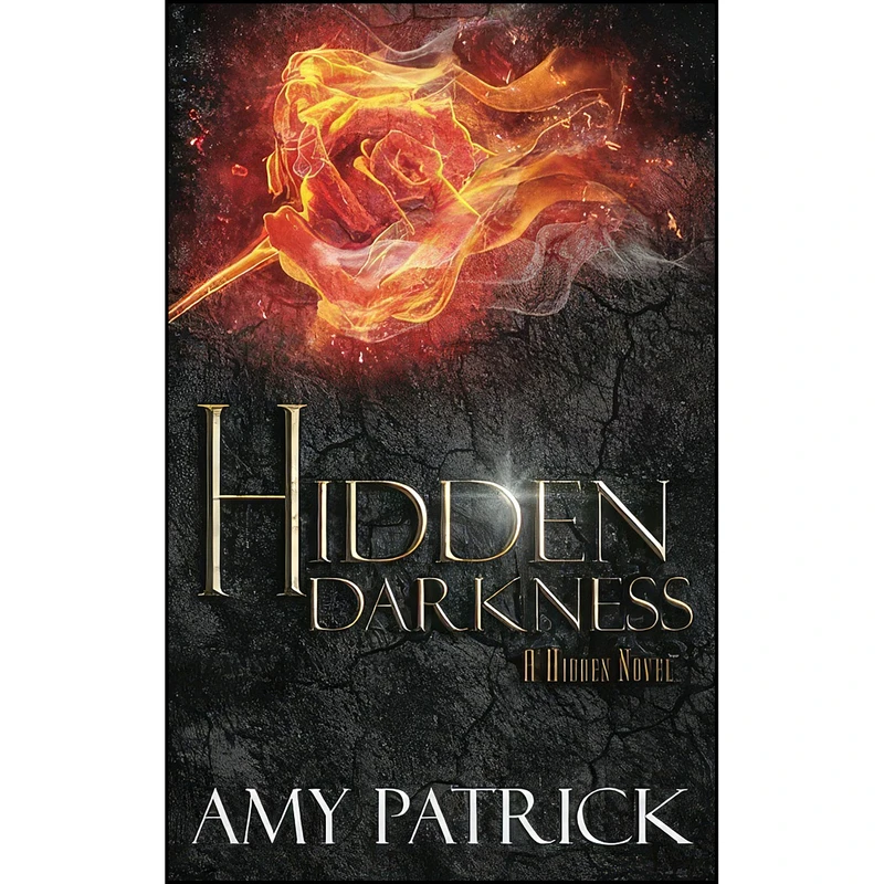 کتاب Hidden Darkness, Book 4 of the Hidden Saga اثر Amy Patrick انتشارات تازه ها
