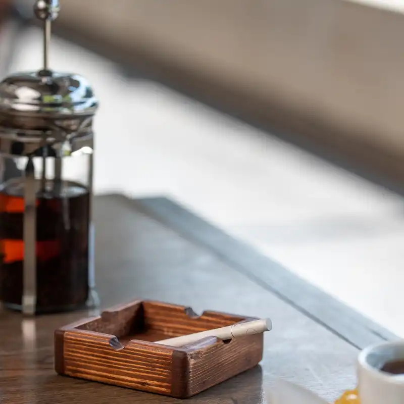 زیرسیگاری ادریک مدل جنگل کد 8