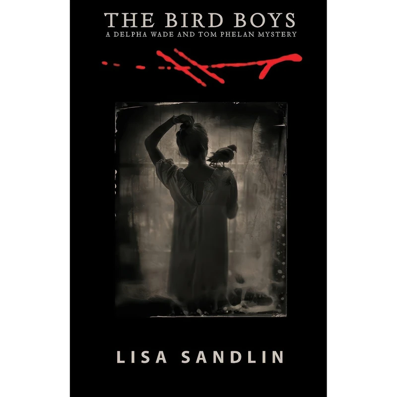 کتاب The Bird Boys  اثر Lisa Sandlin انتشارات Cinco Puntos Press