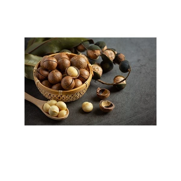   پادری مدل آشپزخانه کد HSHMH0148 سایز 76x46 سانتی متر