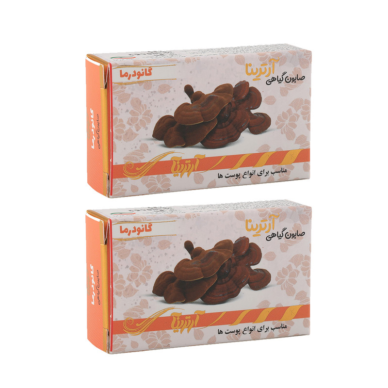 صابون شستشو آرترینا مدل گانودرما وزن 70 گرم مجموعه 2 عددی
