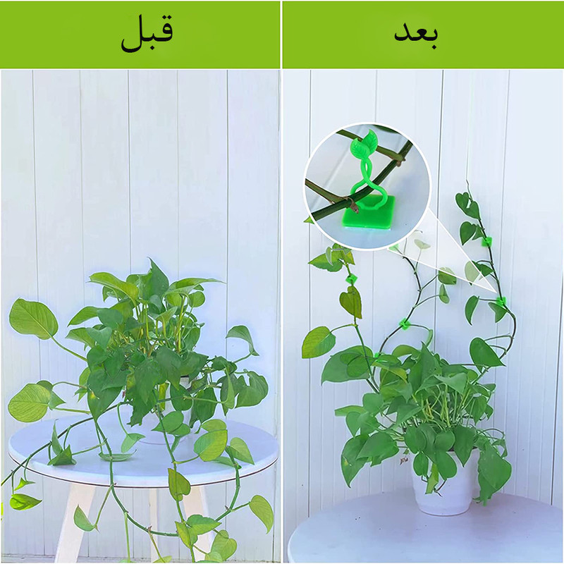 قیم بند  مدل  برگی بسته 30 عددی