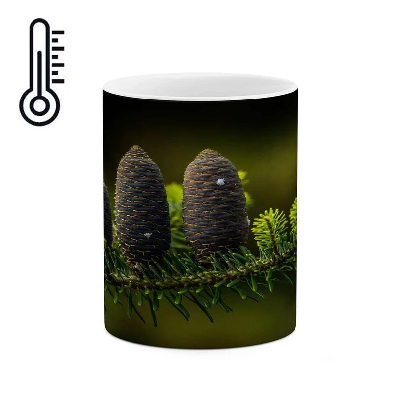 ماگ حرارتی کاکتی مدل منظره کد mgh16177