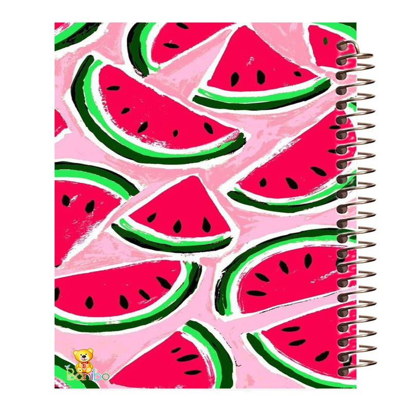 دفتر نقاشی 50 برگ بانیبو مدل هندوانه کد 227