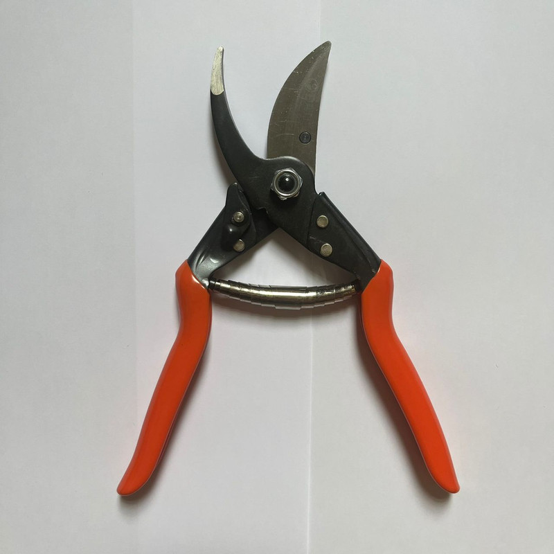 قیچی باغبانی داتیس مدل 4542