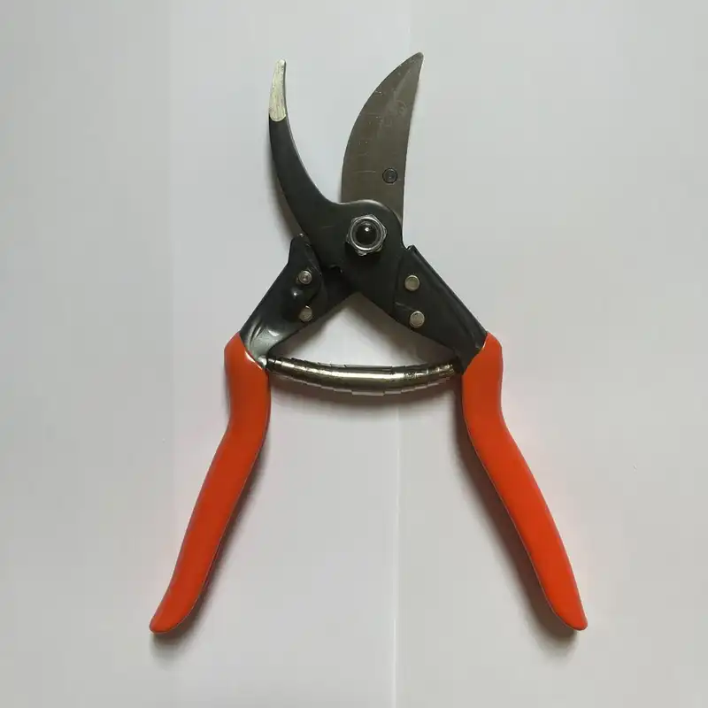 قیچی باغبانی داتیس مدل 4542