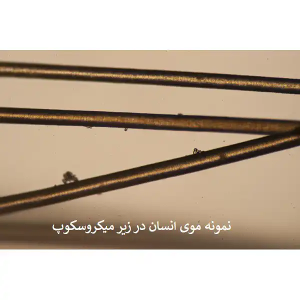 میکروسکوپ مدل دانش‌آموزی STM-1400