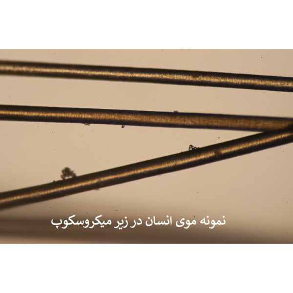 میکروسکوپ مدل دانش‌آموزی STM-1400