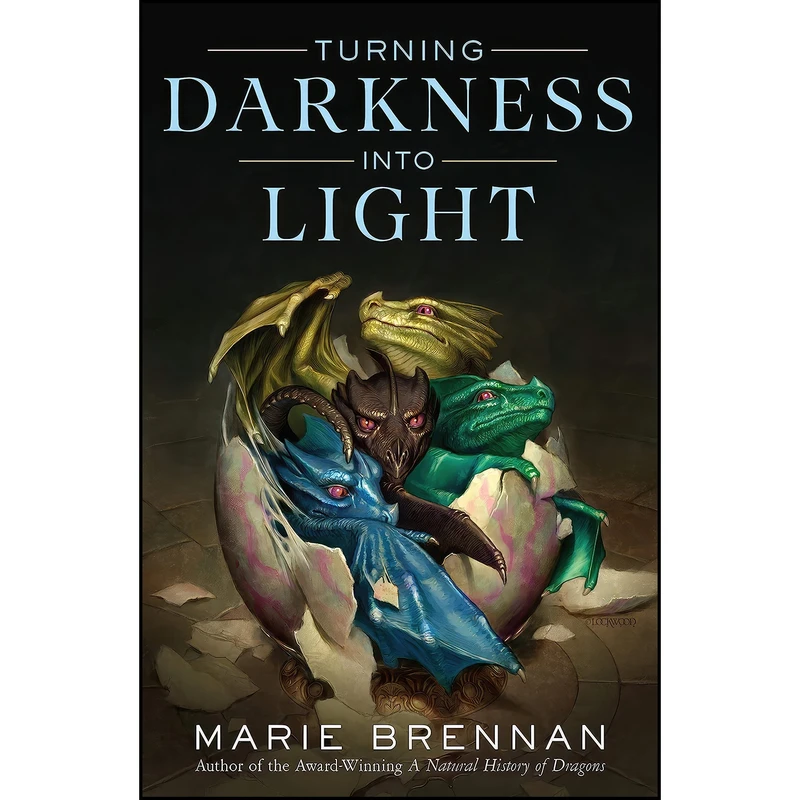کتاب Turning Darkness Into Light اثر Marie Brennan انتشارات Tor Books
