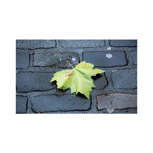   پادری مدل گل و طبیعت کد M35M001-MF0091 سایز 76x46 سانتی متر